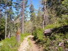 photo thumbnail #15