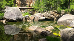 photo thumbnail #12
