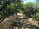photo thumbnail #9