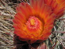 photo thumbnail #10