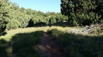 photo thumbnail #11