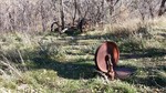 photo thumbnail #5