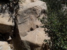 photo thumbnail #5