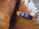photo thumbnail #8