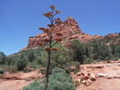 photo thumbnail #10