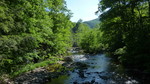 photo thumbnail #14