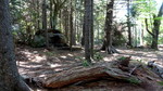 photo thumbnail #12