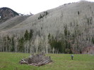 photo thumbnail #2