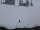 photo thumbnail #7