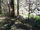 photo thumbnail #13
