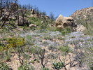 photo thumbnail #12