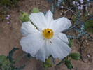 photo thumbnail #13