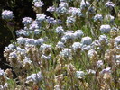 photo thumbnail #14