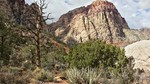 photo thumbnail #8