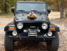photo thumbnail #15
