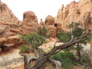 photo thumbnail #6