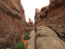 photo thumbnail #10