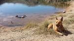 photo thumbnail #15