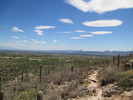 photo thumbnail #10
