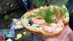photo thumbnail #12