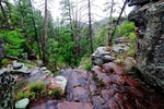 photo thumbnail #3