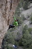 photo thumbnail #2
