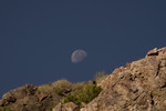 photo thumbnail #10