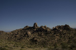 photo thumbnail #12
