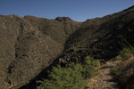 photo thumbnail #14