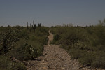 photo thumbnail #15