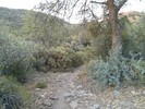 photo thumbnail #11