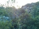 photo thumbnail #15