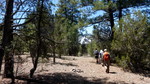 photo thumbnail #9