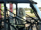 photo thumbnail #1