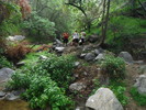photo thumbnail #7
