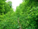 photo thumbnail #12