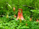 photo thumbnail #13