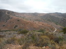 photo thumbnail #2