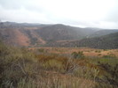 photo thumbnail #4