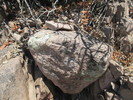 photo thumbnail #5