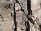 photo thumbnail #12