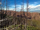 photo thumbnail #6