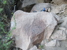 photo thumbnail #5