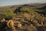 photo thumbnail #4