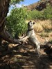 photo thumbnail #4