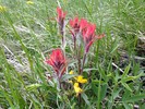 photo thumbnail #8