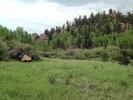 photo thumbnail #13