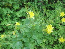 photo thumbnail #2
