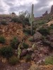 photo thumbnail #7
