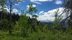 photo thumbnail #14